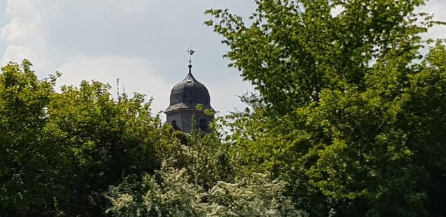 Ökologische Stadtentwicklung