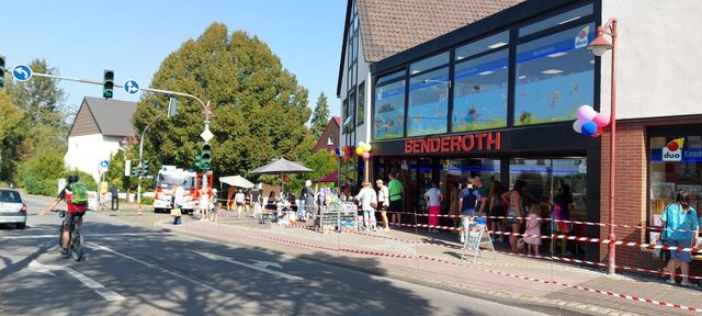 Wahlkämpfer in Aktion!