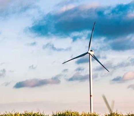 Von der Theorie zur Praxis: Vellmar nimmt Klimaschutz selbst in die Hand