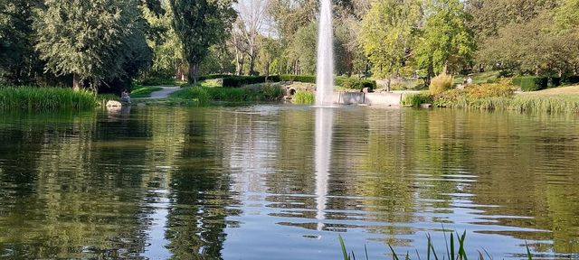 Droht ein Fischesterben im Ahnepark?